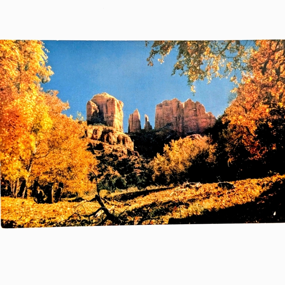Vintage Sedona AZ Oak Creek Canyon Cathedral Rock Postcard Unused